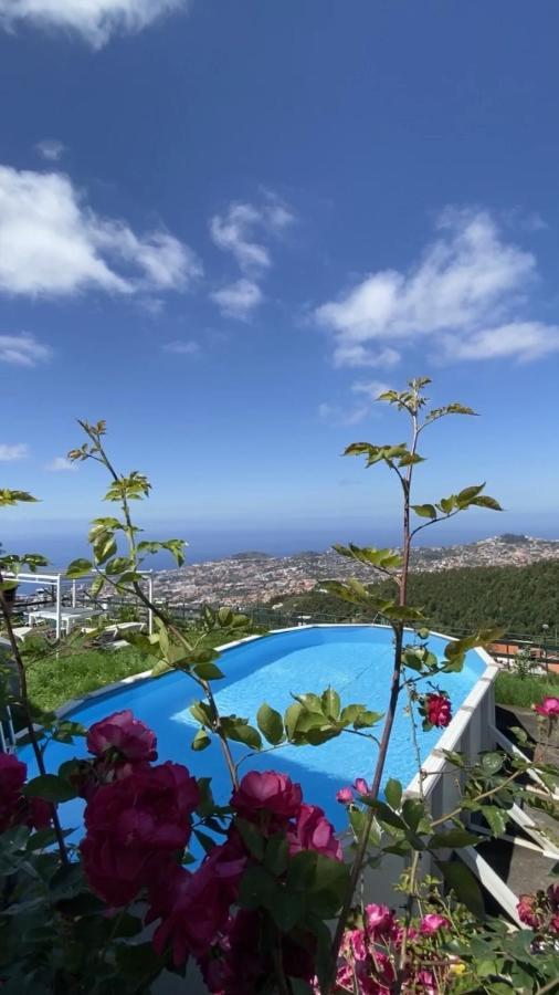 Studio Geek Villa - Open Space - 5M From 5 Top Attractions - Pool All Year Round, Dining Pergola, Barbecue - Funchal Matrix Holiday Home Exteriör bild